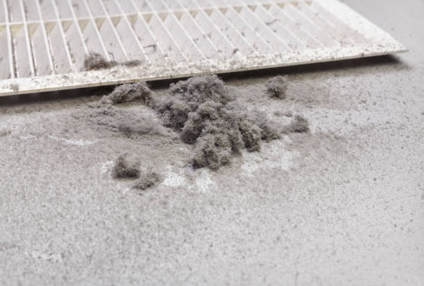 Best Affordable Duct Cleaning Services  in Westfield, NJ